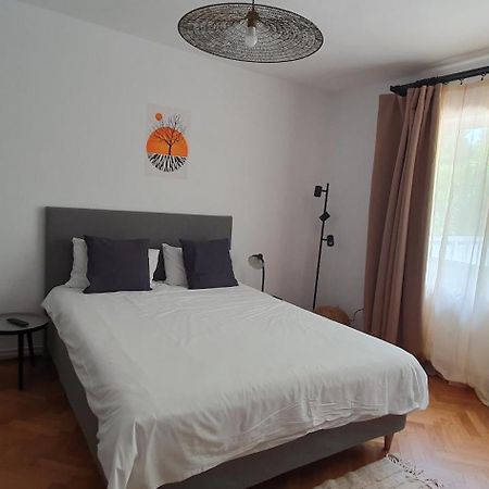 The Pines Serviced Apartments Braşov Buitenkant foto