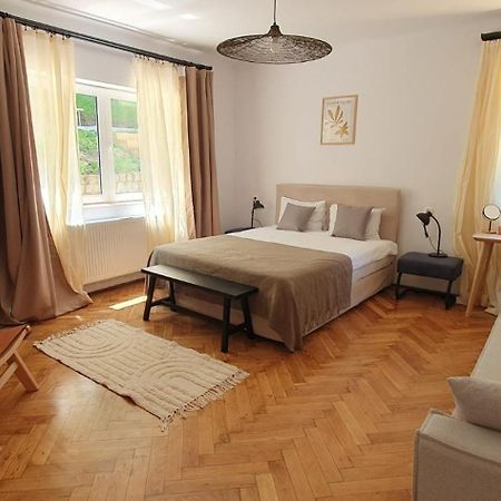 The Pines Serviced Apartments Braşov Buitenkant foto