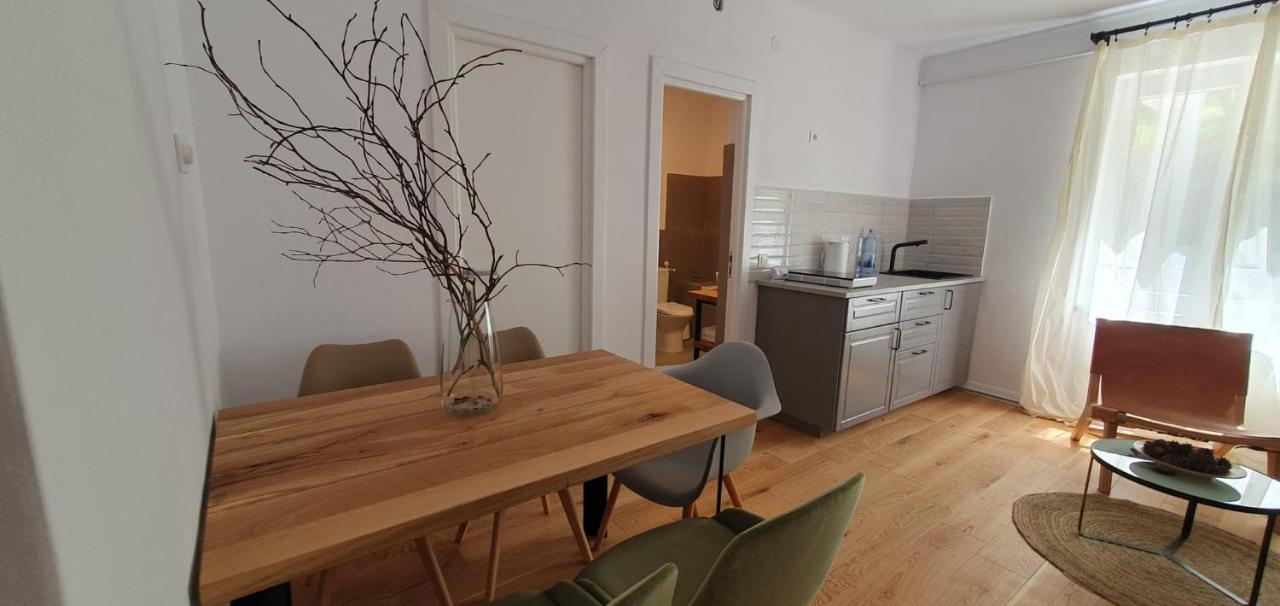 The Pines Serviced Apartments Braşov Buitenkant foto