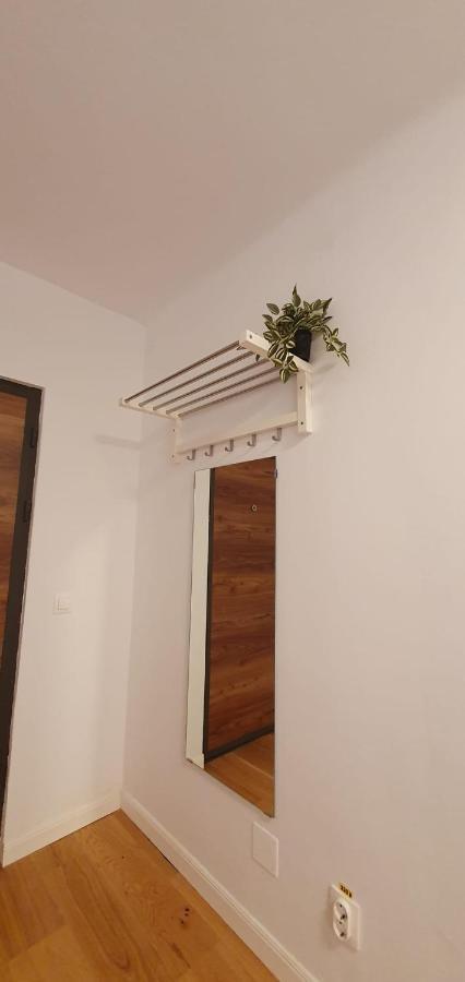 The Pines Serviced Apartments Braşov Buitenkant foto